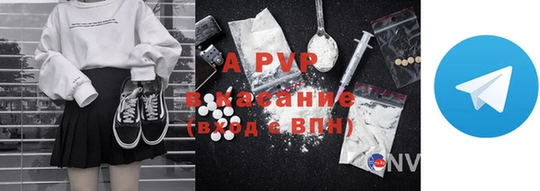 ECSTASY Белокуриха