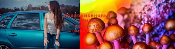 ECSTASY Белокуриха