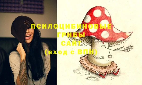 ECSTASY Белокуриха