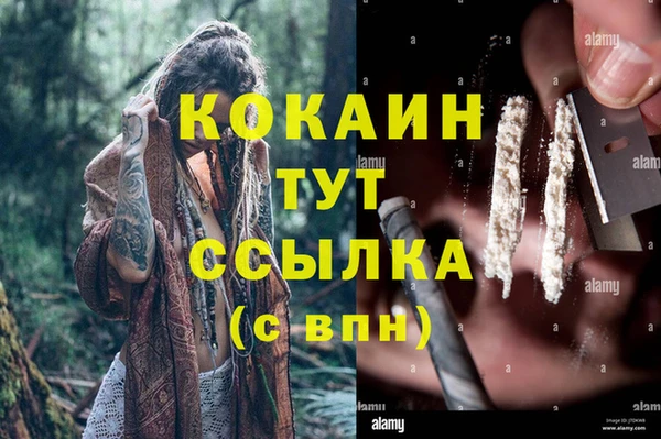 ECSTASY Белокуриха