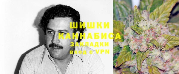 ECSTASY Белокуриха