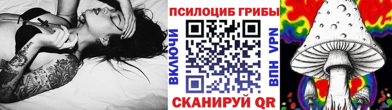 закладка  блэк спрут как зайти  Галлюциногенные грибы мицелий  Зеленогорск 