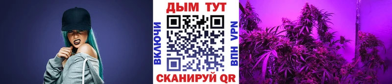 Каннабис индика  блэк спрут ONION  Зеленогорск 